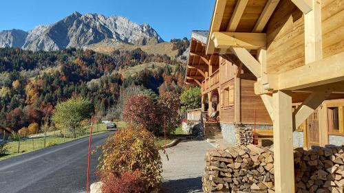 La Giettaz Ski Chalet | Chalet La Canopée