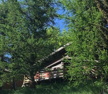 Allos Ski Chalet | Chalet Le Blij/Centre Station La Foux