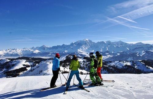 Crest-Voland Ski Chalet | Chalet Le Buset - Grand chalet proche des pistes et du centre du village MAE-3044