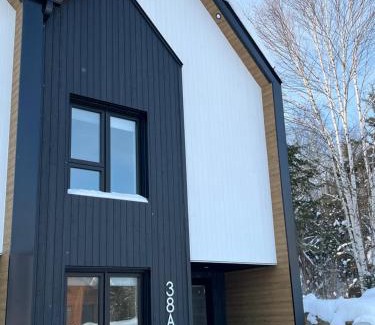L'Anse-Saint-Jean Ski Chalet | Chalet Les 3 Versants Mont-Edouard 38A