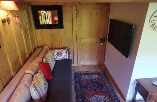 Chateau-d'Oex Apartment | Chalet 'Les Riaux' - Studio individuel