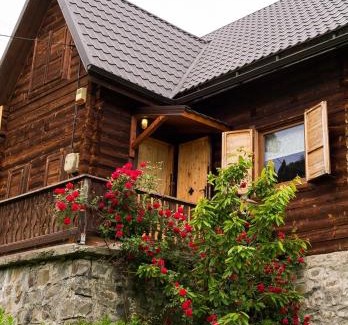 Lunca Bradului Ski Chalet | Chalet M