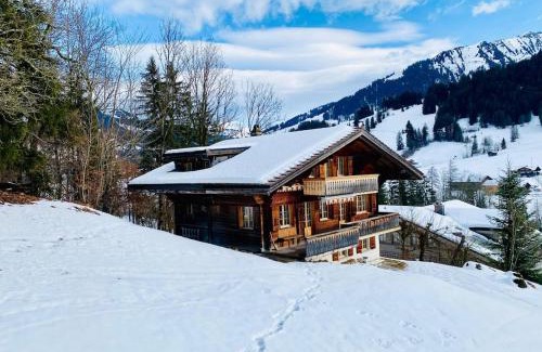 Zweisimmen Nr Gstaad Ski Chalet | Chalet near Gstaad
