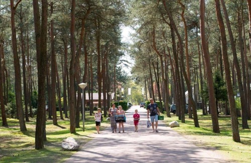 Doornspijk Ski Chalet | Chalet op de Veluwe
