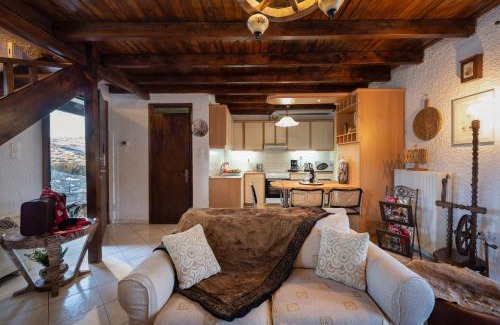 Arachova Ski Chalet | Chalet Renata 2 Livadi Arachovas