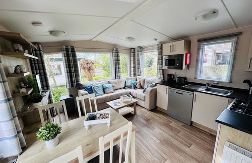 Renesse Ski Chalet | Chalet Steffis Casa del Sol Renesse close to the center and the beach. Dog
