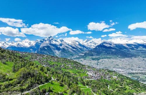 Nendaz Ski Chalet | Chalet Sven Heul by Interhome