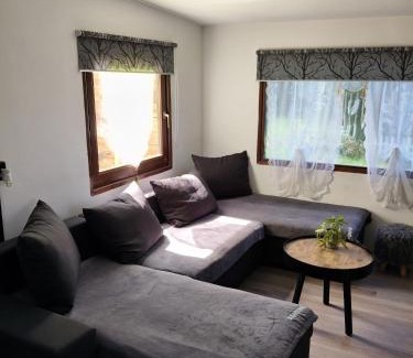 Anloo House | Chalet Timber - close to the woods