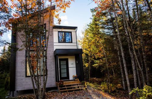 Pont-Rouge Ski Chalet | Chalet tout confort dans un domaine privé à 30 minutes de Québec