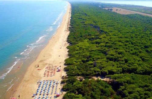 Foce Varano Apartment | Chalet Viola Beach Village