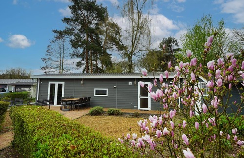 Belfeld House | Chalet with 3 bedrooms and a terrace