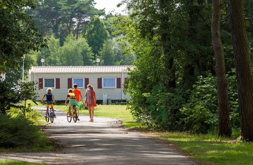 Mol Apartment | Chalet with dishwasher in the green Kempen