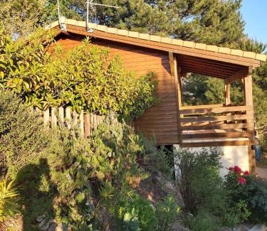 Evisa Ski Chalet | Chalets de CEMMA
