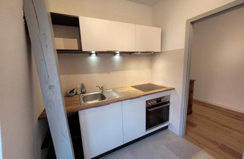 Haguenau Apartment | Chaleureux 2 pièces au centre de Haguenau