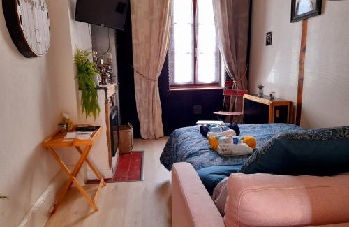 Moulins Apartment | Chaleureux studio en rez de chaussée