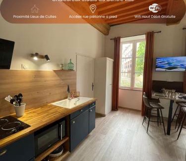 Paray-le-Monial Apartment | Chaleureux studio - Centre ville
