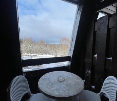 Premanon Apartment | Chaleureux studio montagnard avec balcon 2402