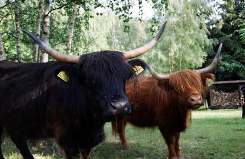 Prostredni Becva House | Chalupa na Bečvách