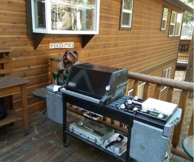 Chamberlands House | Chamberland Getaway Lake Views with Deck