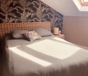 Centre Ville Bed & Breakfast | Chambre bohème chez Rachel