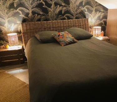 Centre Ville Bed & Breakfast | Chambre bohème chez Rachel