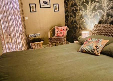Centre Ville Bed & Breakfast | Chambre bohème chez Rachel