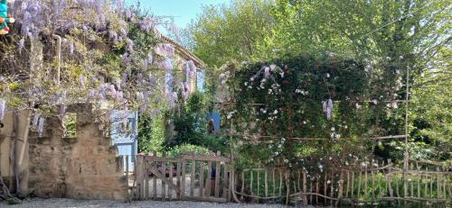 Mas Thibert Bed & Breakfast | Chambre d'hôte Vaccarès