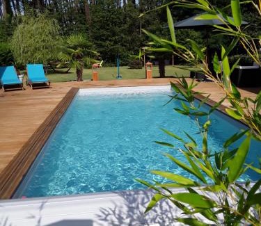 Mios Bed & Breakfast | Chambre d'hôtes les Iris à Mios sur le Bassin d'Arcachon