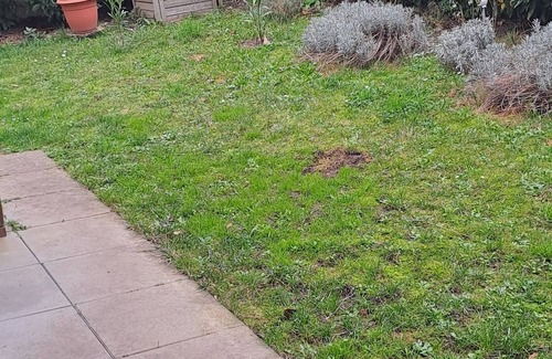 Montreuil Apartment | Chambre Double Dans Appartement 2 Pièces 45m2 en rez de Jardin
