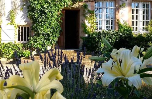 Aydoilles Bed & Breakfast | Chambre lumineuse avec espaces communs et court de tennis à Aydoilles - FR-1-589-713