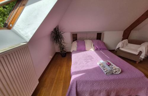 L'Etang-la-Ville House | Chambre, Terrasse et Jacuzzi