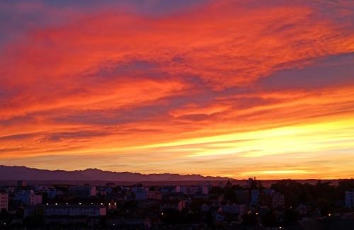 Tarbes House | Chambre tout confort