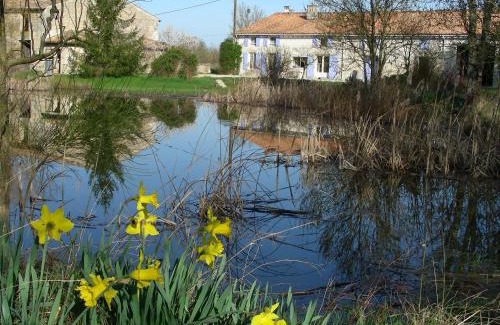 Bessines Bed & Breakfast | Chambres d'hôtes entre Niort et Marais Poitevin