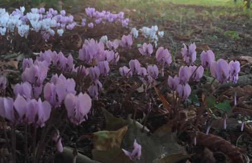 Berry-Bouy Bed & Breakfast | Chambres d'Hôtes Grand Bouy