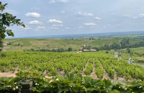 Chiroubles House | Chambres d'Hotes Le Panoramic Chiroubles Beaujolais