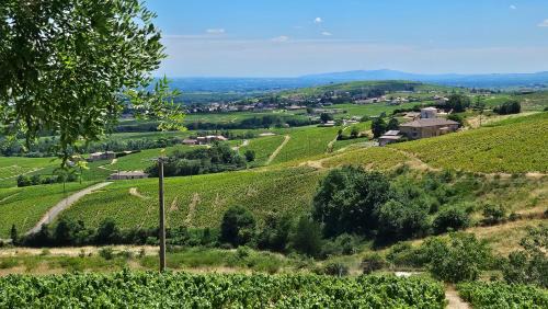 Chiroubles House | Chambres d'Hotes Le Panoramic Chiroubles Beaujolais