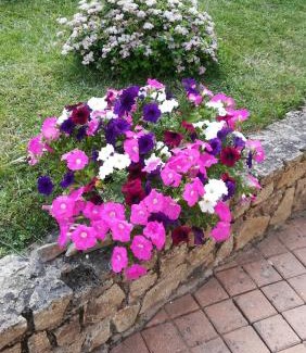 Faye-d'Anjou Bed & Breakfast | Chambres des Noels