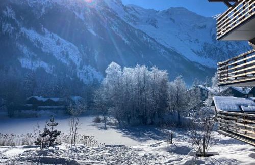 Chamonix-Mont-Blanc Apartment | Chamonix Praz Vue Mt Blanc Piscine