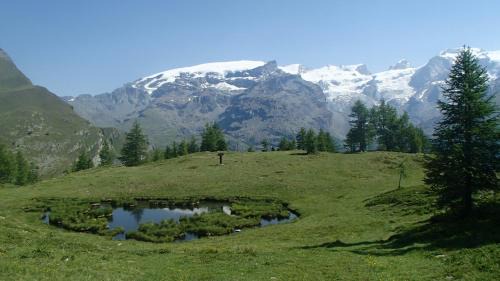 Champoluc Apartment | Champoluc Apartment