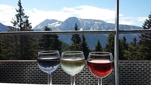 Chamrousse Apartment | Chamrousse 1700 - Les Villages du Bachat - Silènes C32 - Classé 3 étoiles- Vue sur les montagnes -
