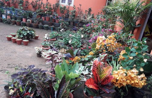 Virarajendrapet House | Chandragiri -romantic and traditional home for holiday vacation