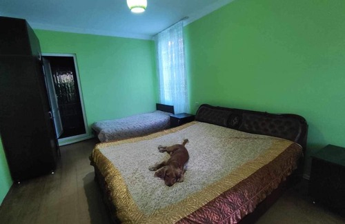 Guria House | Chantu