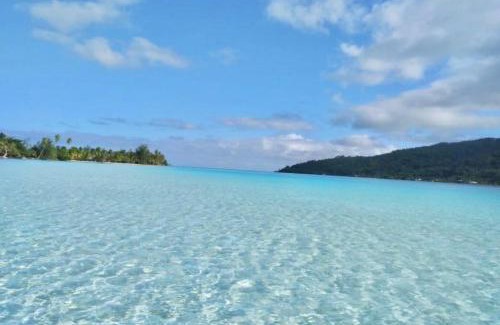Huahine House | Charmant Bungalow bord de mer accès privé lagon