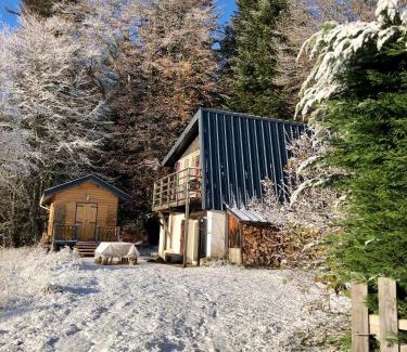 Saint-Antheme Ski Chalet | CHARMANT CHALET dans les monts du Forez