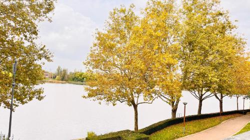 Ormetteau-Port Apartment | Charmant et cosy appartement à Créteil lac
