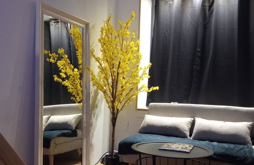 Cherbourg-en-Cotentin Apartment | Charmant Studio Atypique, au Coeur d' une rue Commerçante