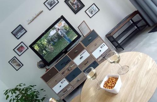 Nerac Apartment | Charmant gîte indépendant au calme tout confort wifi climatisation draps et serviettes incluses parking gratuit