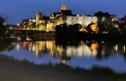 Savennieres House | Charmant gîte viticole près de la Loire à vélo, à 10 min d'Angers, parfait pour un séjour à deux - FR-1-622-18