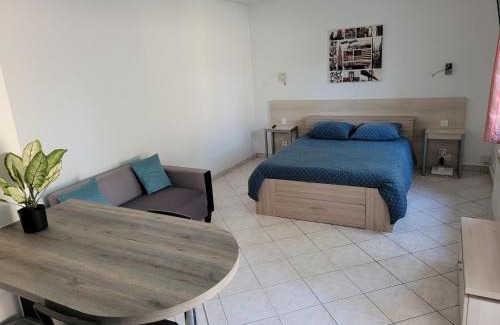 Tremblay-en-France Apartment | charmant studio de 30 m2 très calme avec sa grande belle terrasse et son jardin PRIVATIF