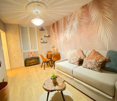 Nantes Centre Apartment | Charmant T1 hypercentre Nantes